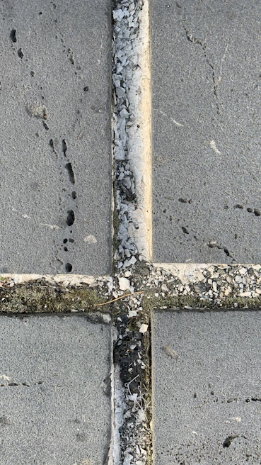 Close-up of a stone patio after high-pressure cleaning and anti-moss treatment.