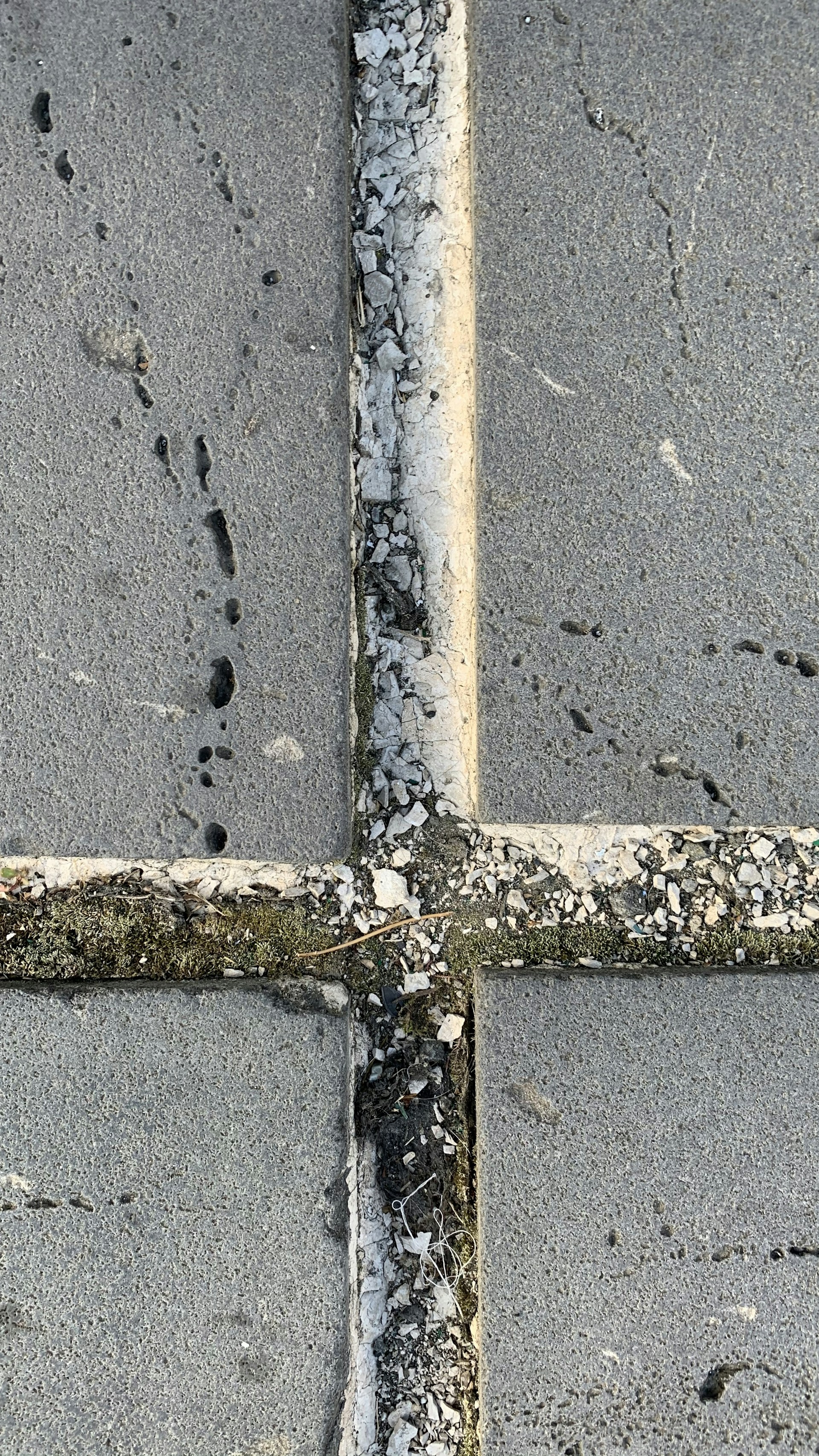woman wearing yellow long-sleeved dress under white clouds and blue sky during daytime
