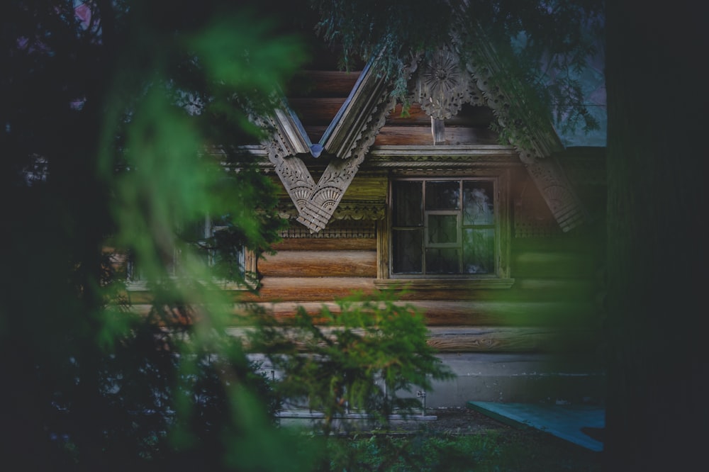 brown wooden house near green trees during nighttime