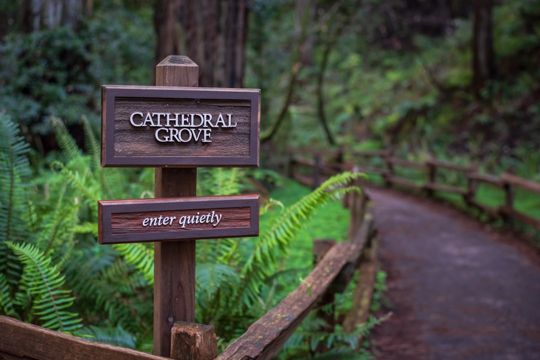 Jungle photo spot Sam McDonald Park Los Gatos