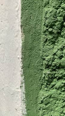 A close-up view of a textured surface with a rough, grainy green substance covering part of the area, adjacent to a smoother white section. The image captures the contrast between the smooth white surface and the coarse green coating.