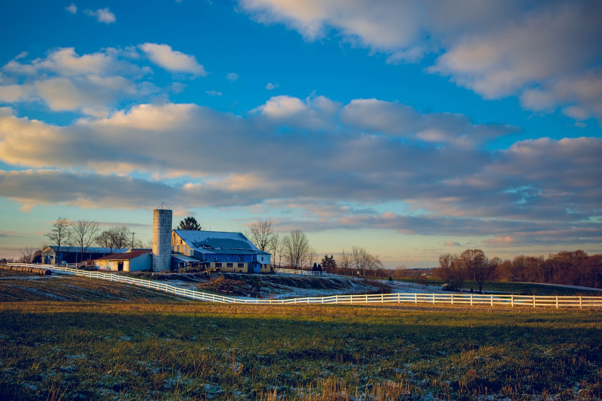 American farmland - regional editorial image for the Illinois commercial lending market. Photo by benjamin lehman on Unsplash.