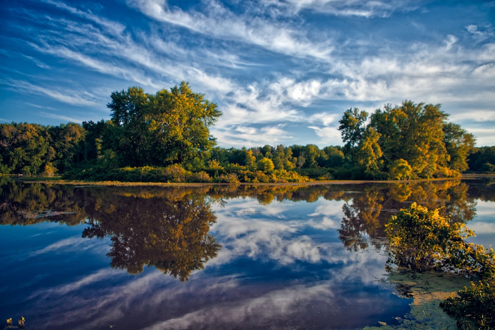 green trees beside lake under blue sky and white clouds during daytime