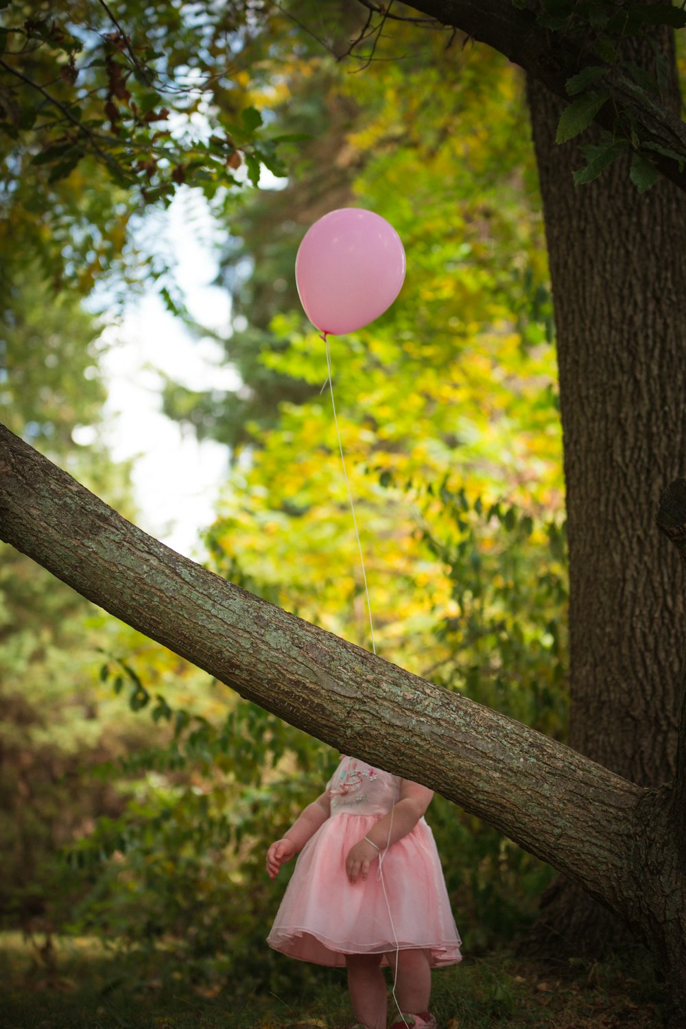 balão cor-de-rosa no galho marrom da árvore