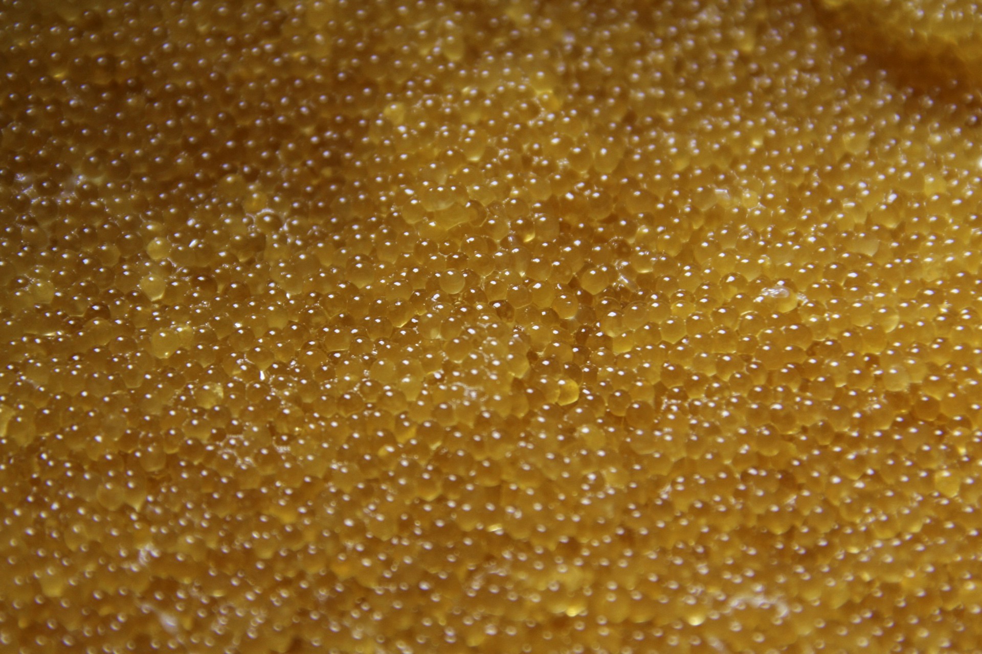 yellow and white polka dot textile