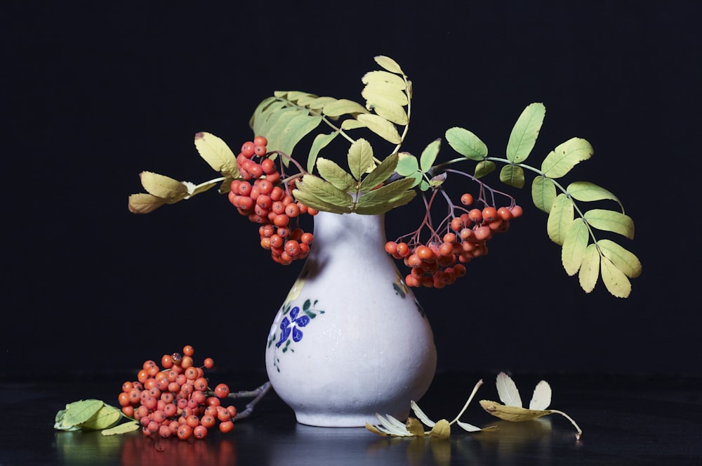 green and red plant on white ceramic vase