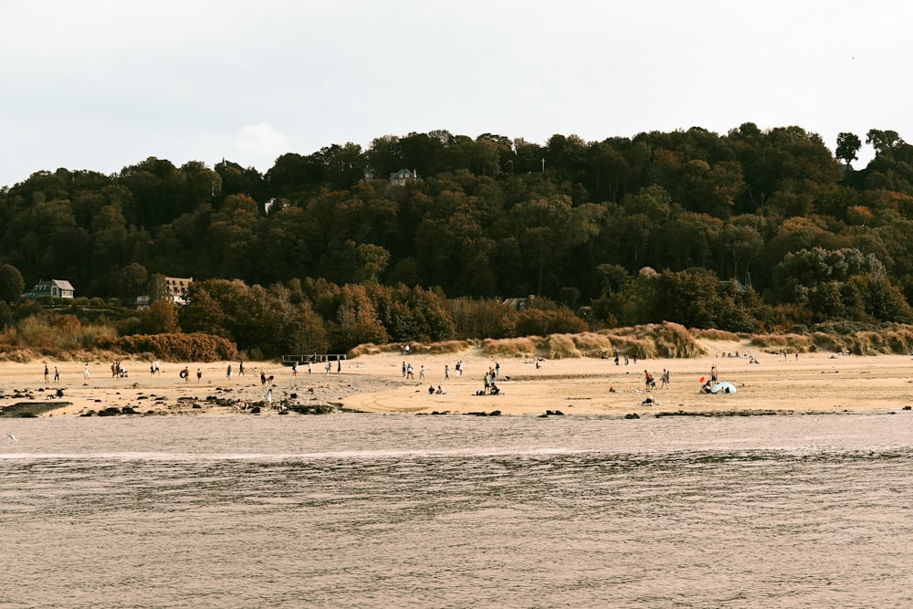 a group of people standing on top of a sandy beach