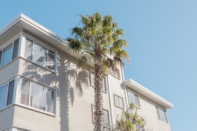 A multi-story residential building with large windows, accompanied by a tall palm tree casting a shadow on the building facade. The sky is clear and bright blue.