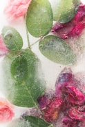 A composition of pink and red flower petals interspersed with lush green leaves encased in a layer of ice. The frozen texture creates unique patterns of bubbles and frost, adding an artistic and ethereal quality to the floral arrangement.