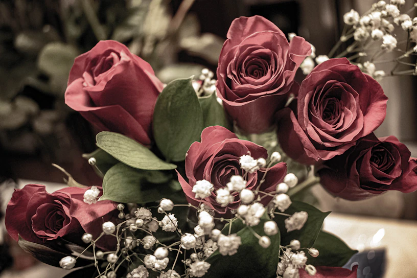 Close-up of a vibrant bouquet of red roses with delicate baby's breath accents.