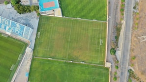 An aerial view of a sports complex featuring multiple green grass fields, including football pitches with marked goalposts. Adjacent to the fields is a blue-roofed building and a smaller area with a tennis or basketball court. Surrounding the complex, there's a road lined with trees and a dirt area with sparse vegetation.