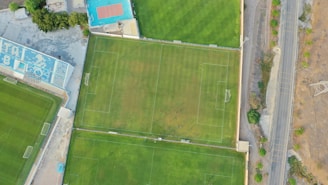 An aerial view of a sports complex featuring multiple green grass fields, including football pitches with marked goalposts. Adjacent to the fields is a blue-roofed building and a smaller area with a tennis or basketball court. Surrounding the complex, there's a road lined with trees and a dirt area with sparse vegetation.