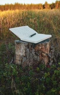 A serene morning scene with sunlight filtering through trees onto a notebook filled with handwritten thoughts.