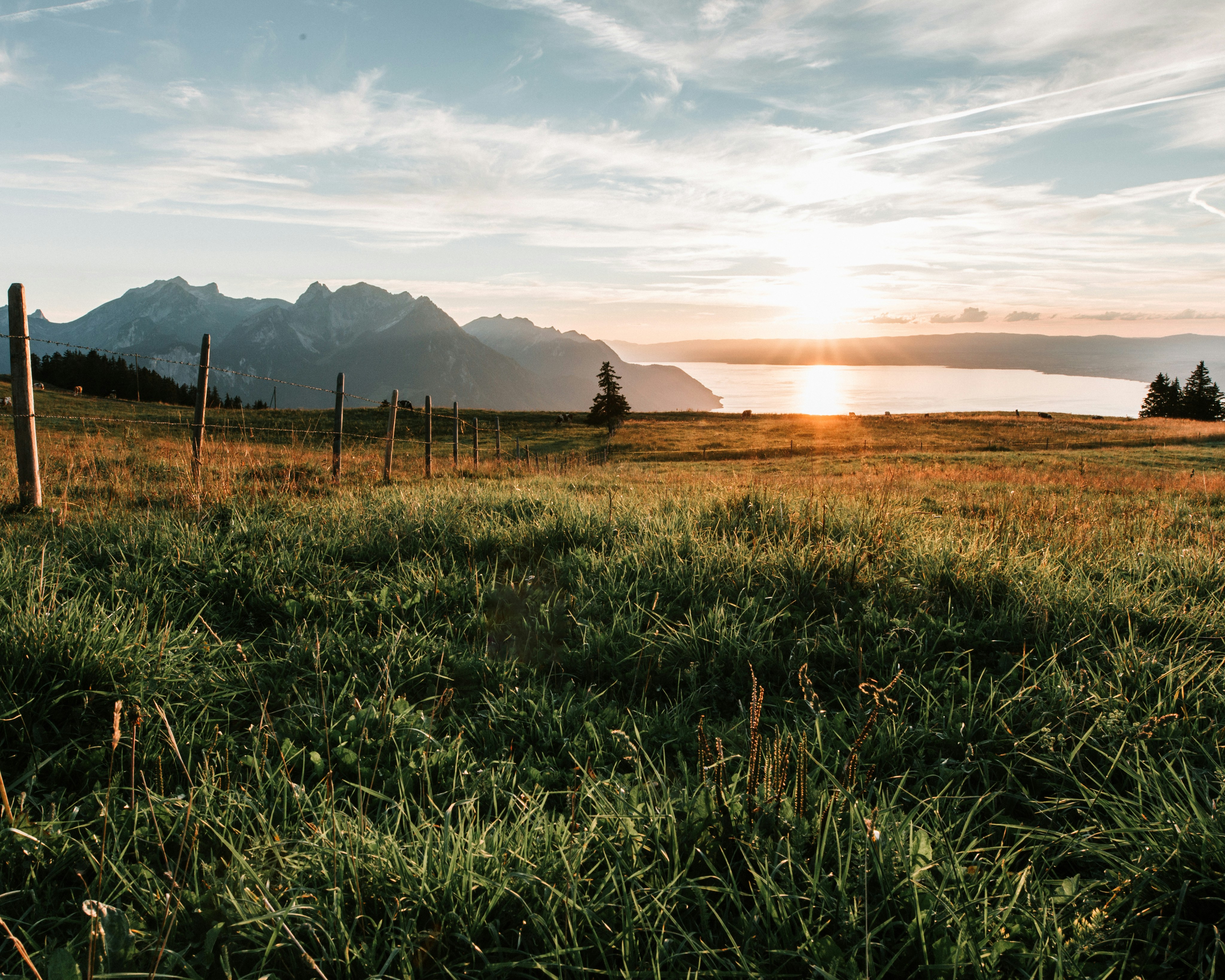 Corbeyrier taxi service