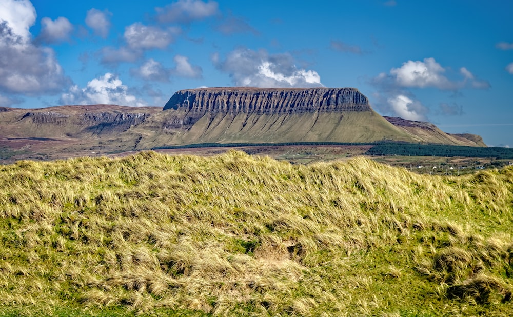 green grass field near mountain under blue sky during daytime