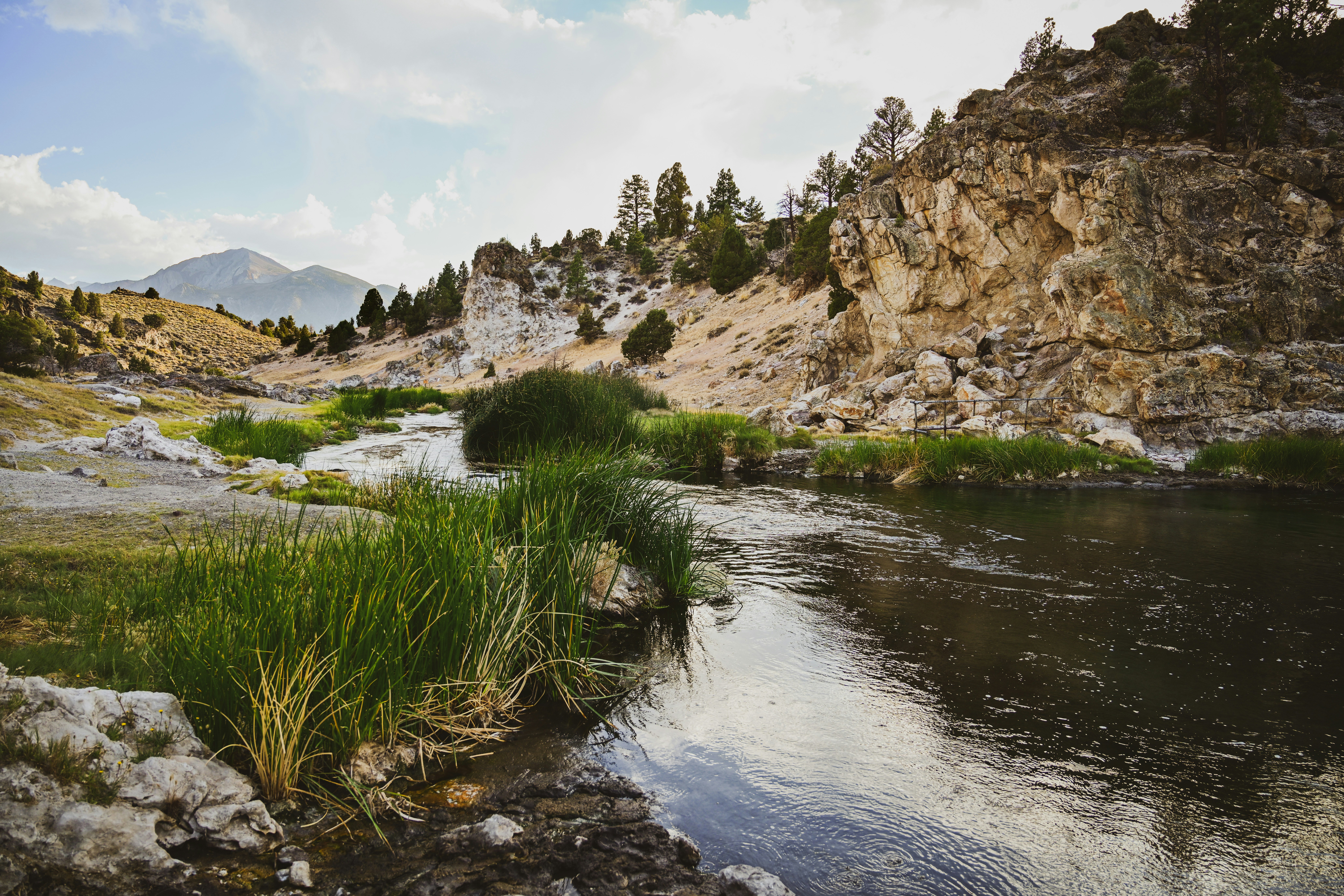 Photo by goldencoastgrams