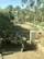 A woman proudly caring for her flock of healthy sheep under a bright sunny sky in Senegal.