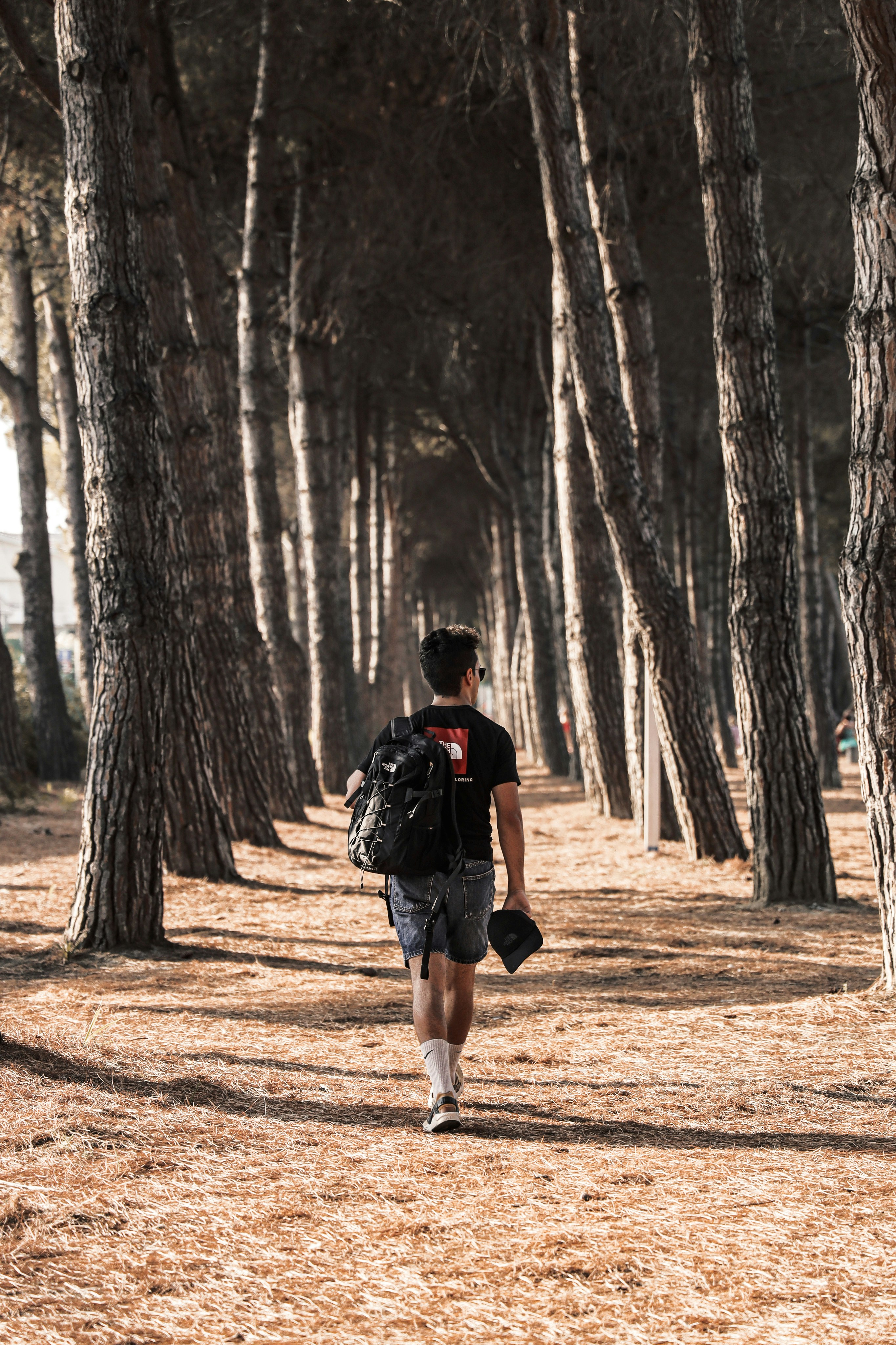 hombre con chaqueta negra caminando por el camino entre los árboles durante el día