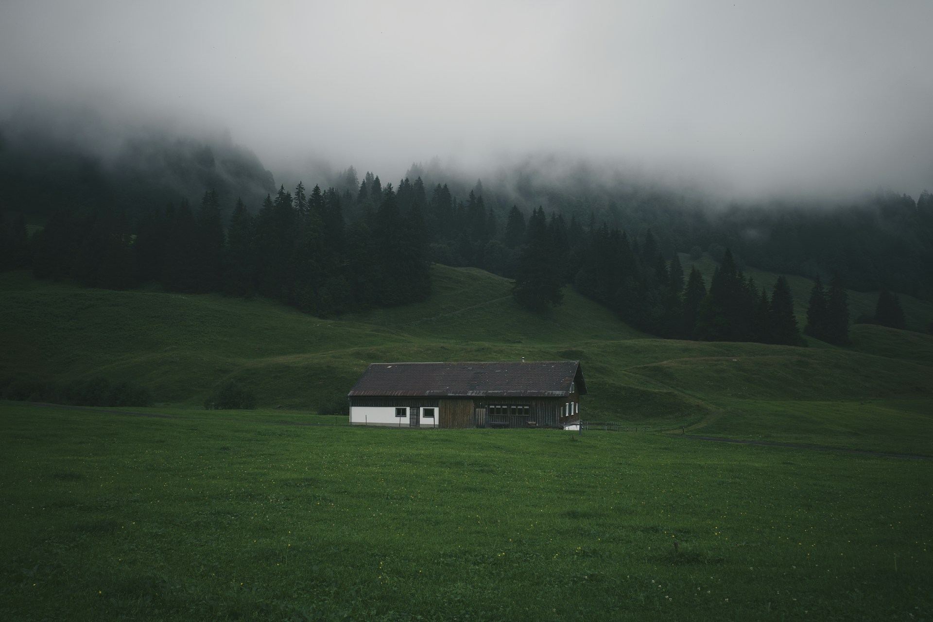 white and brown house on green grass field near green trees during daytime