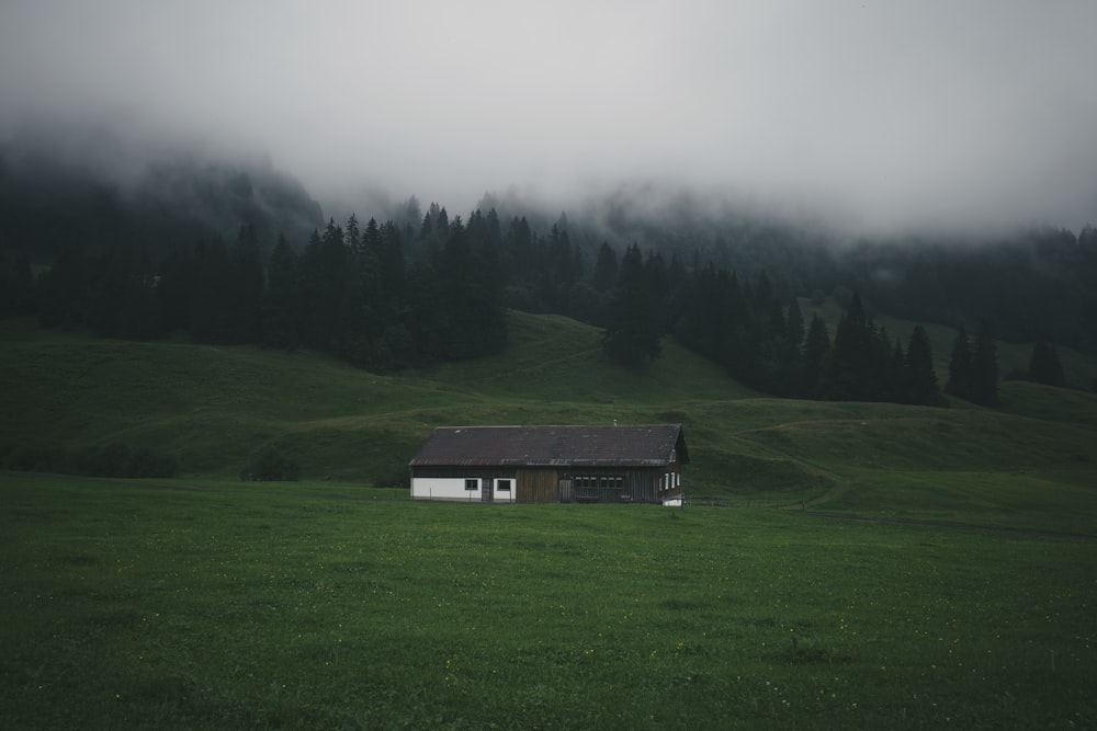 white and brown house on green grass field near green trees during daytime