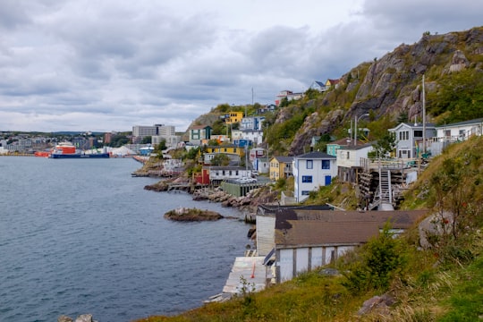 houses near body of water under white clouds during daytime in Signal Hill National Historic Site Canada