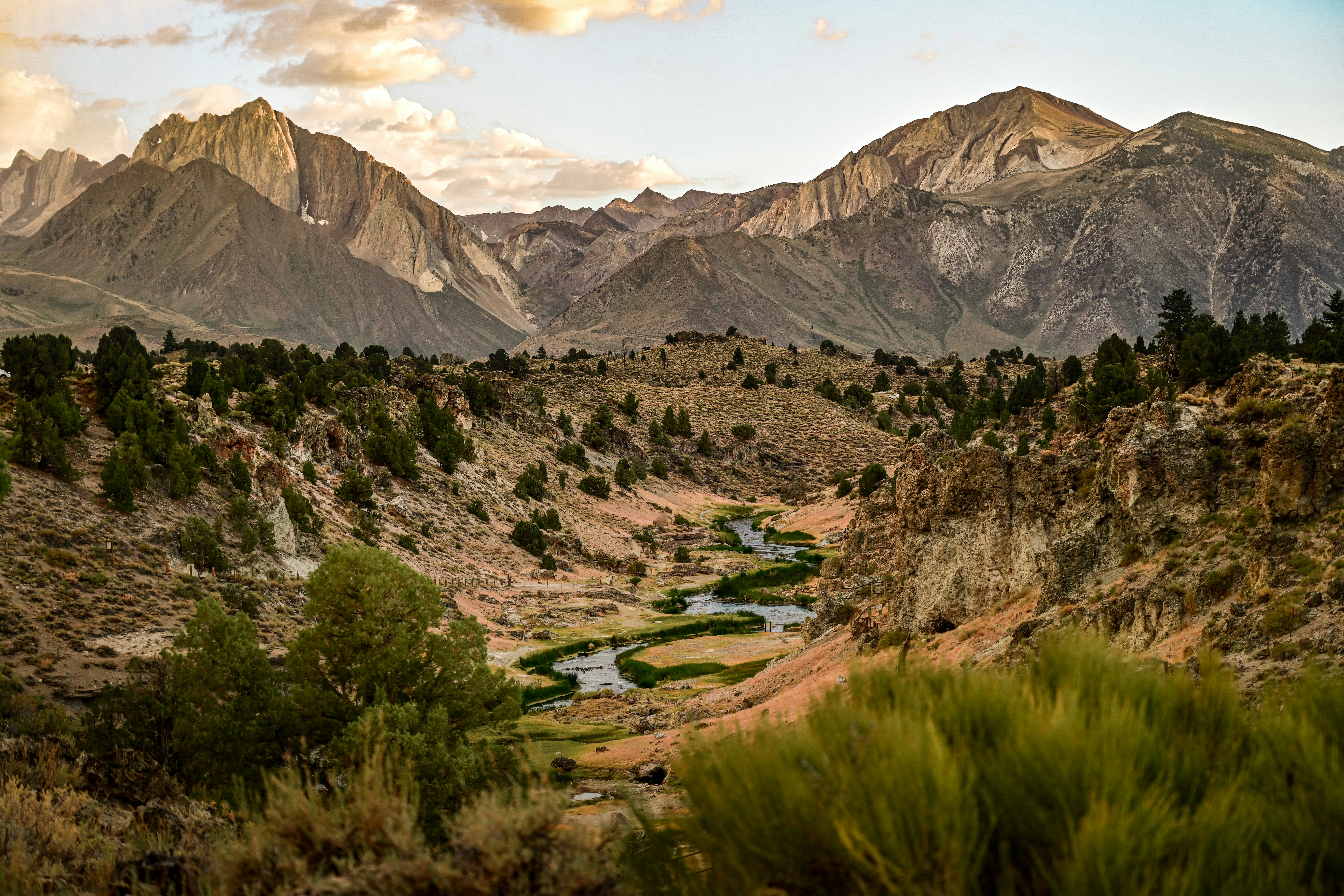 Alpine Peaks to Geothermal Valleys: A Two-Island Campervan Odyssey: Day 11 to 14