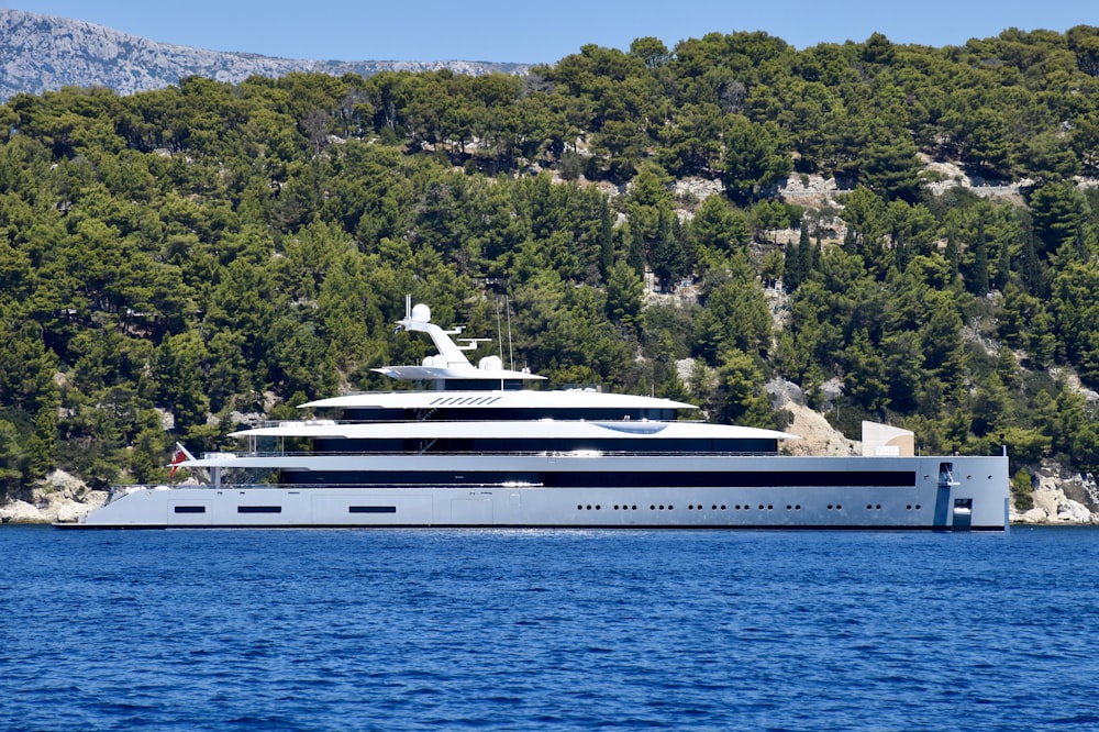 white cruise ship on sea near green trees during daytime