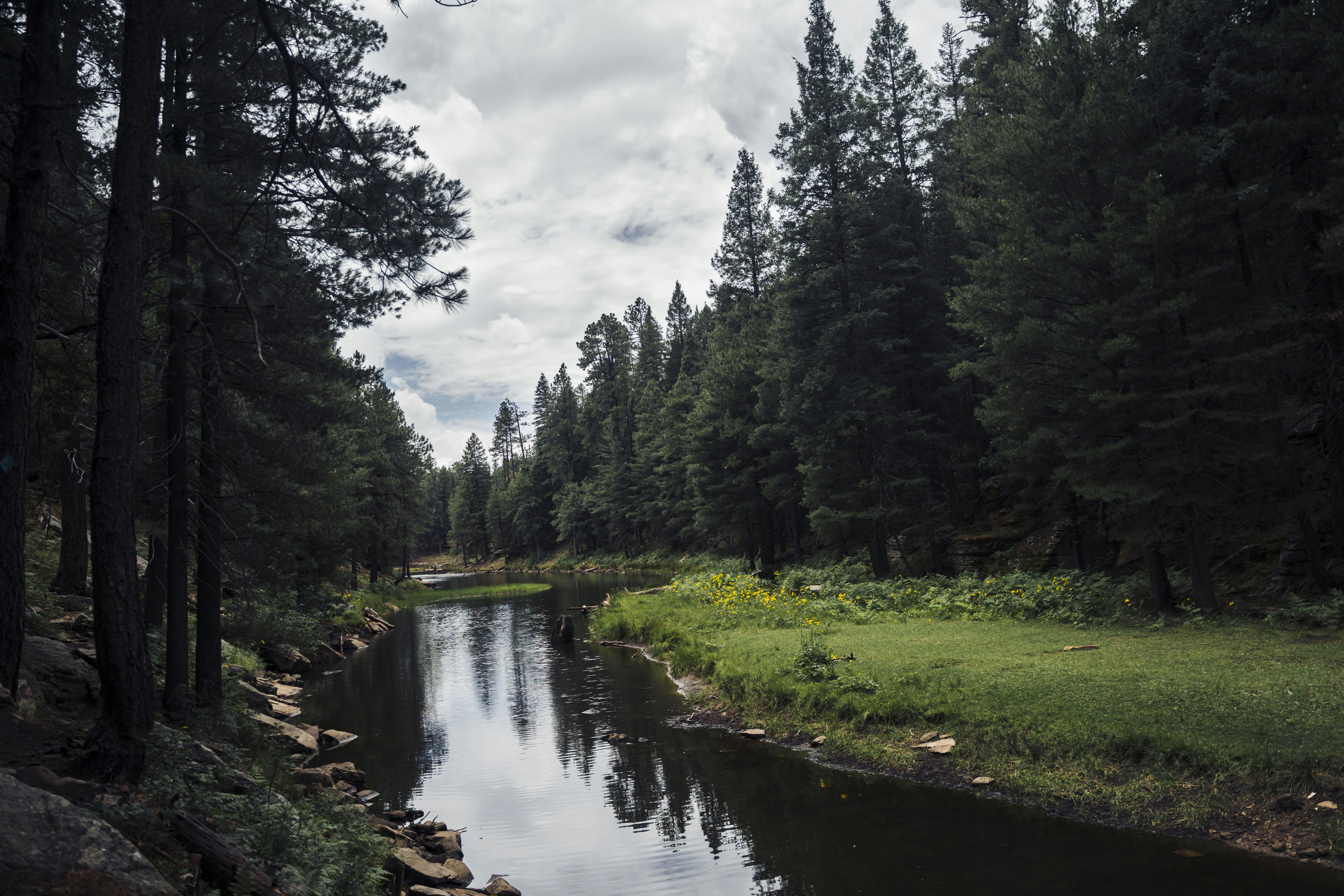 Lovely brooke in Payson