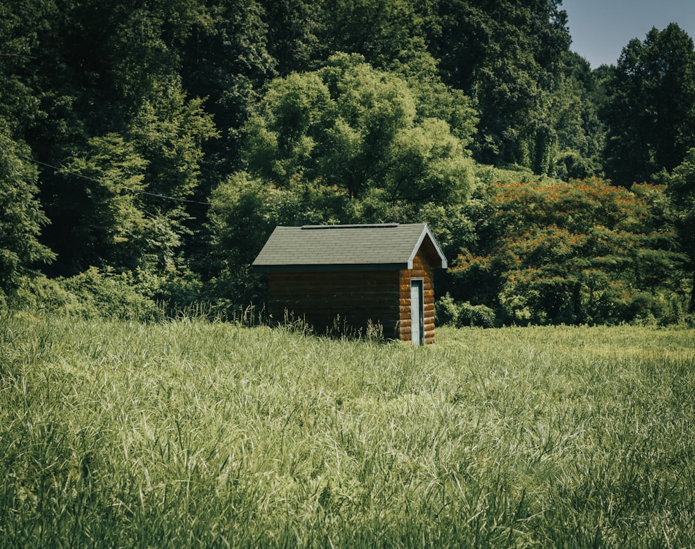 brown wooden house on green grass field