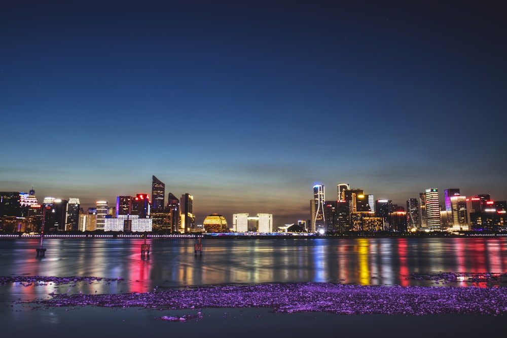 city skyline during night time