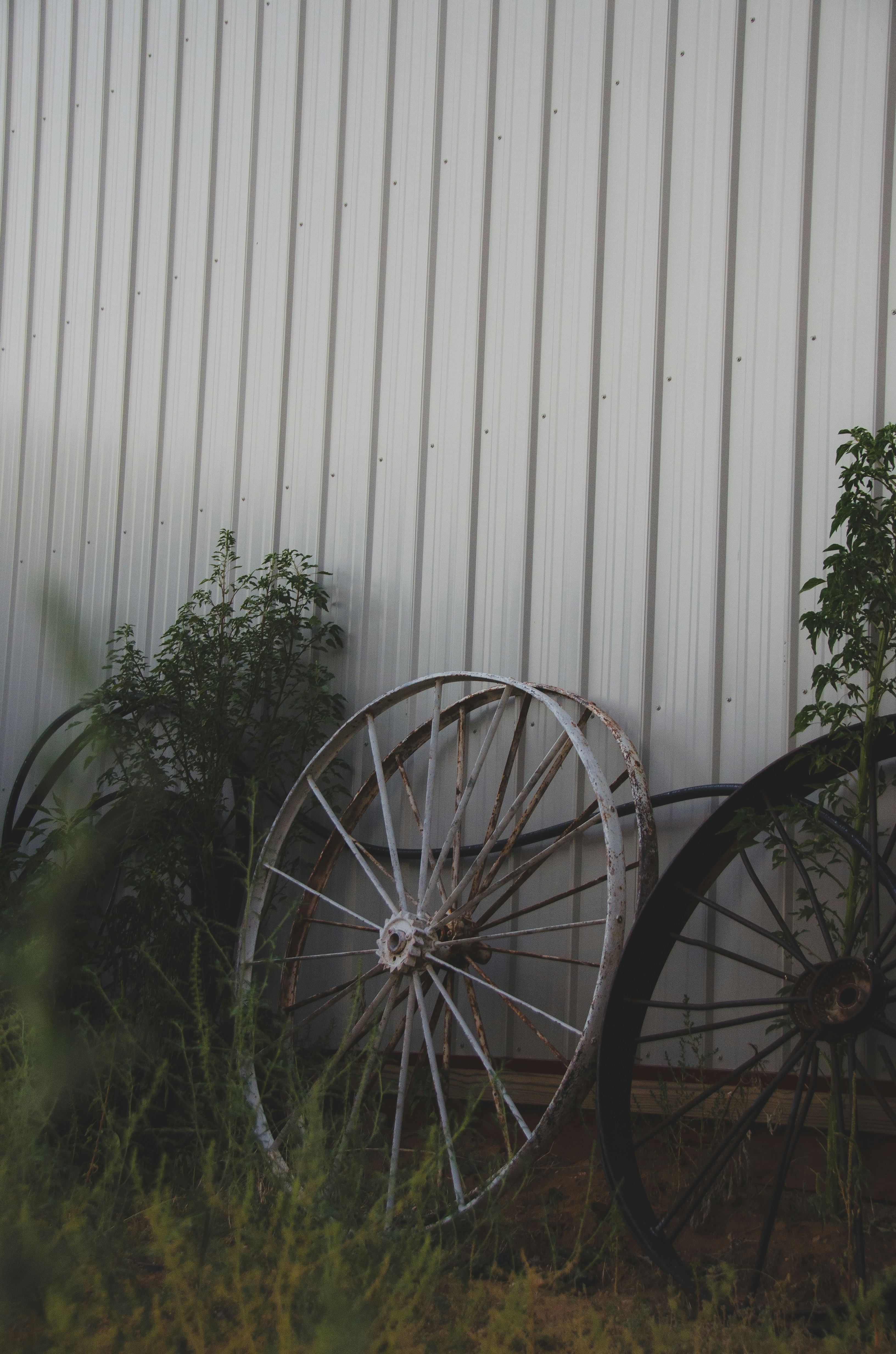 Photo by courtneysmith