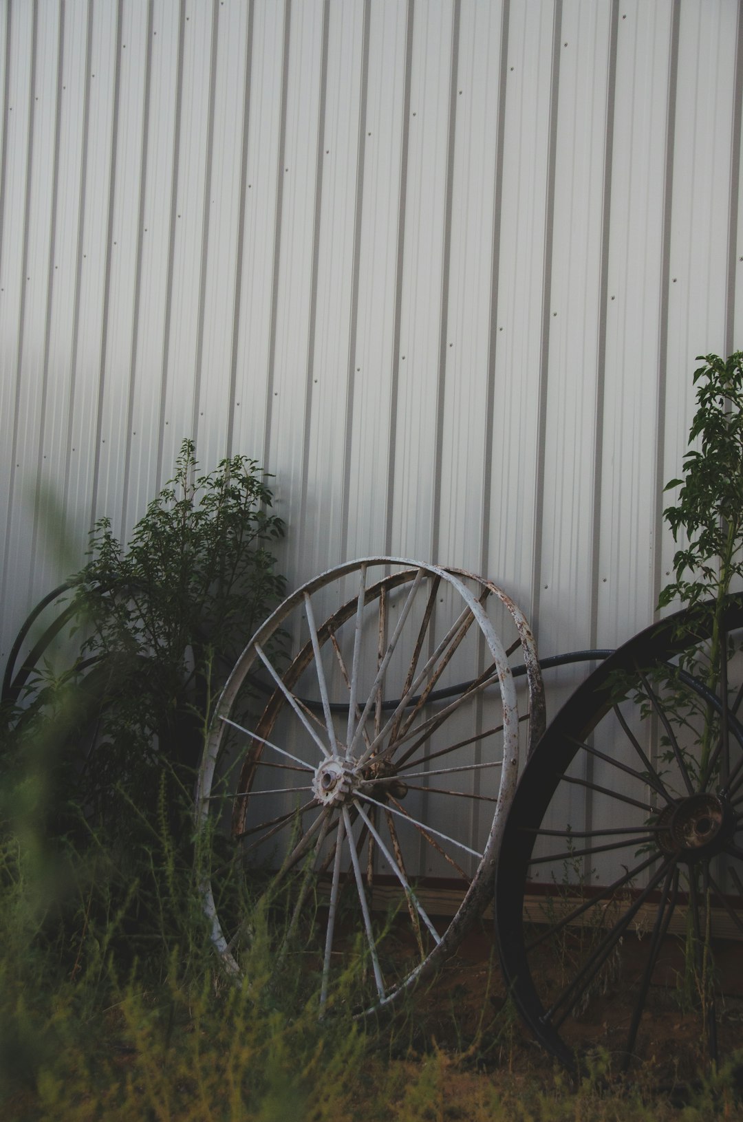 black and gray wheel on green grass