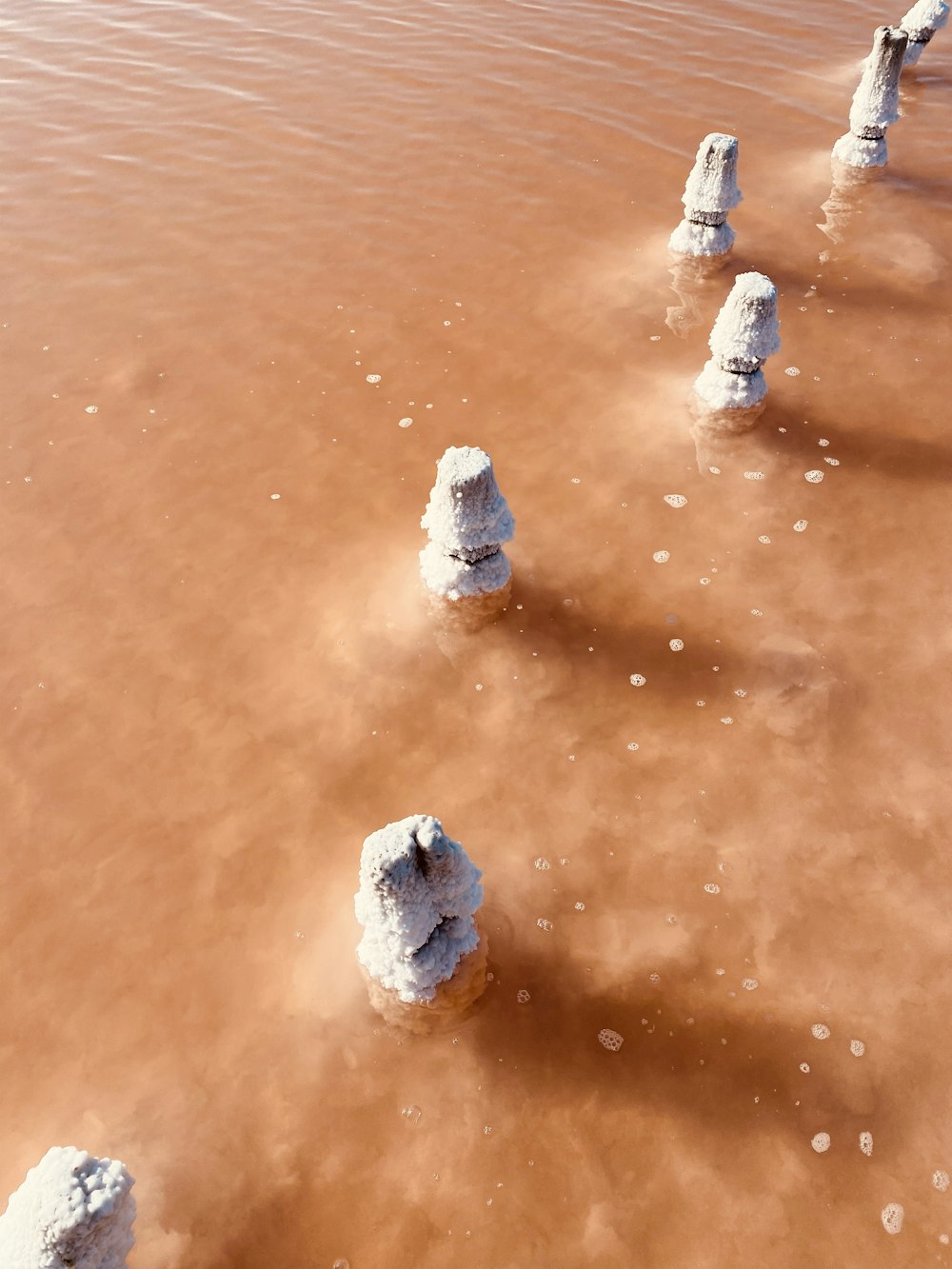 gray stone on brown sand