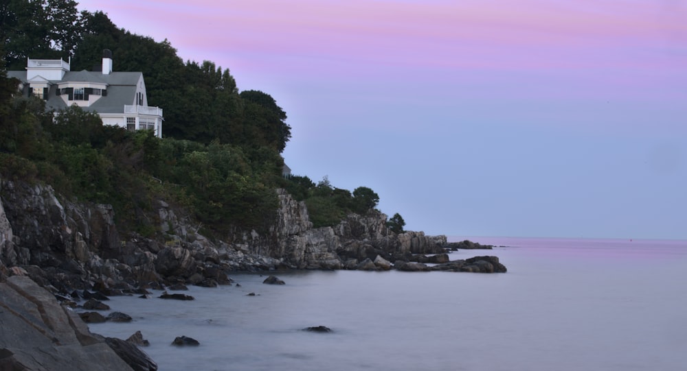 arbres verts sur le rivage rocheux pendant la journée