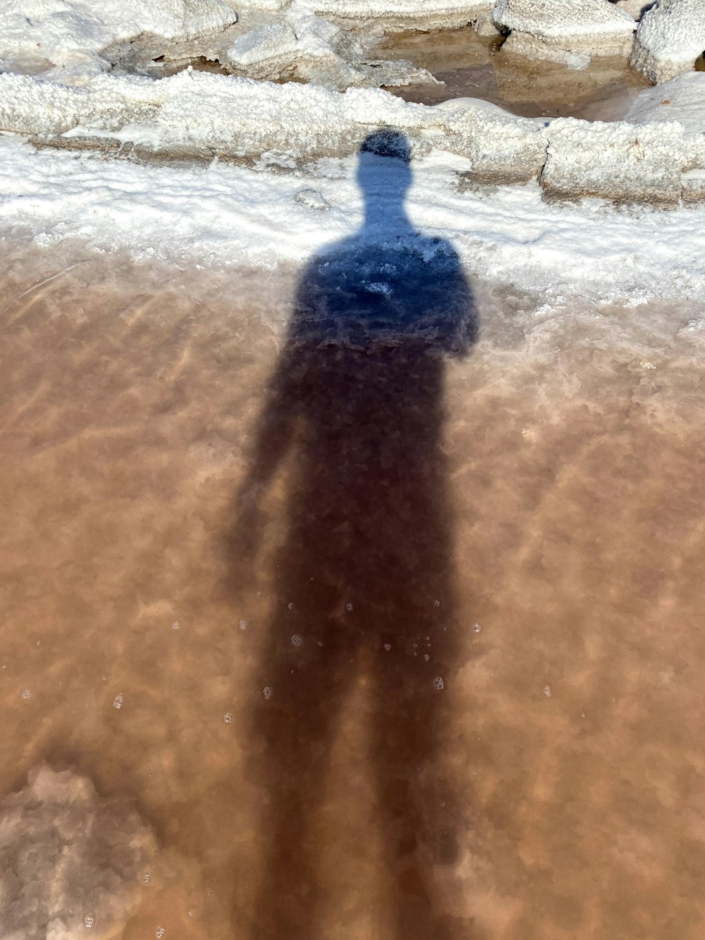 person in blue shirt walking on brown sand during daytime