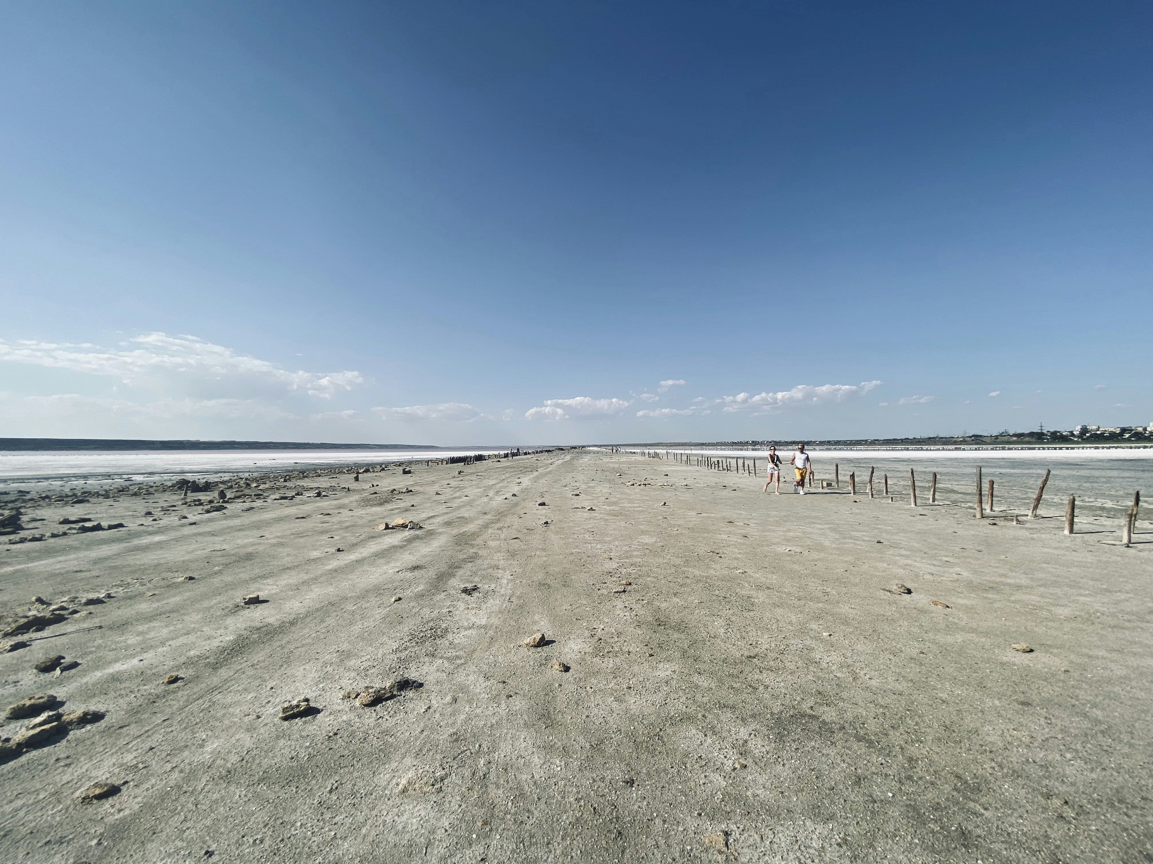 people on beach during daytime