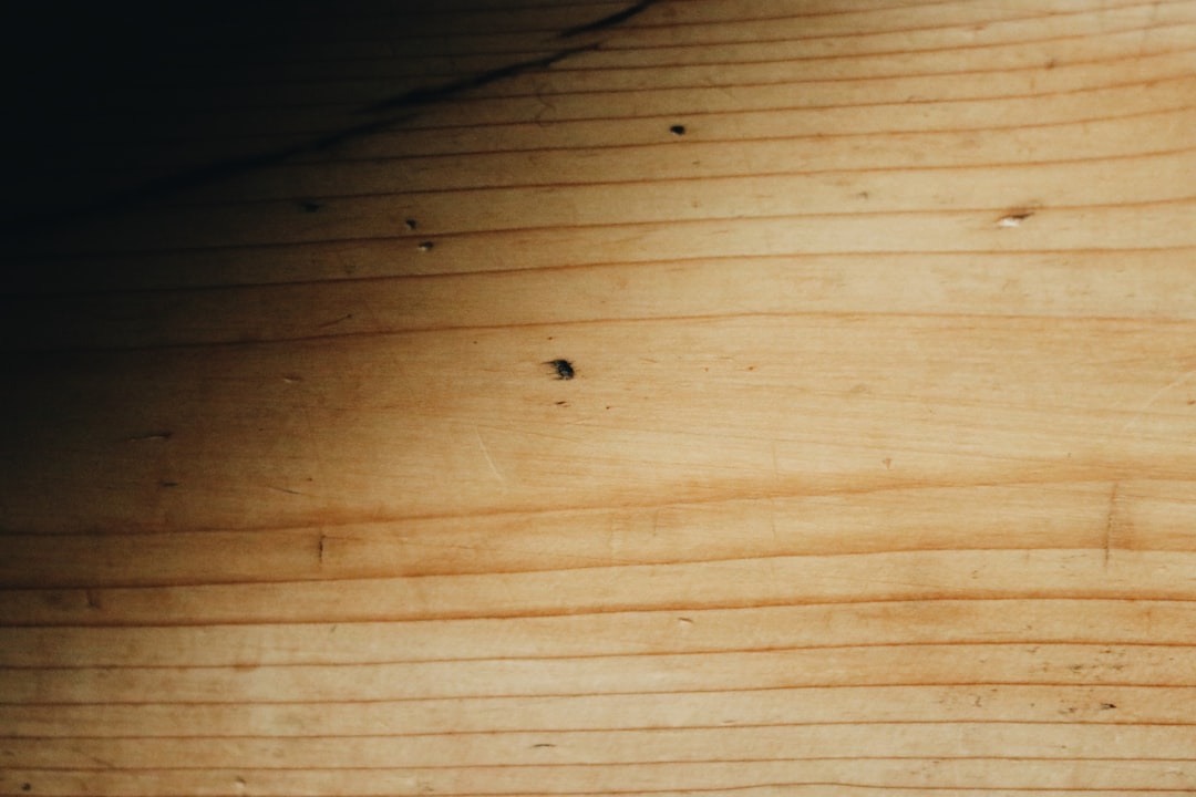 black insect on brown wooden floor