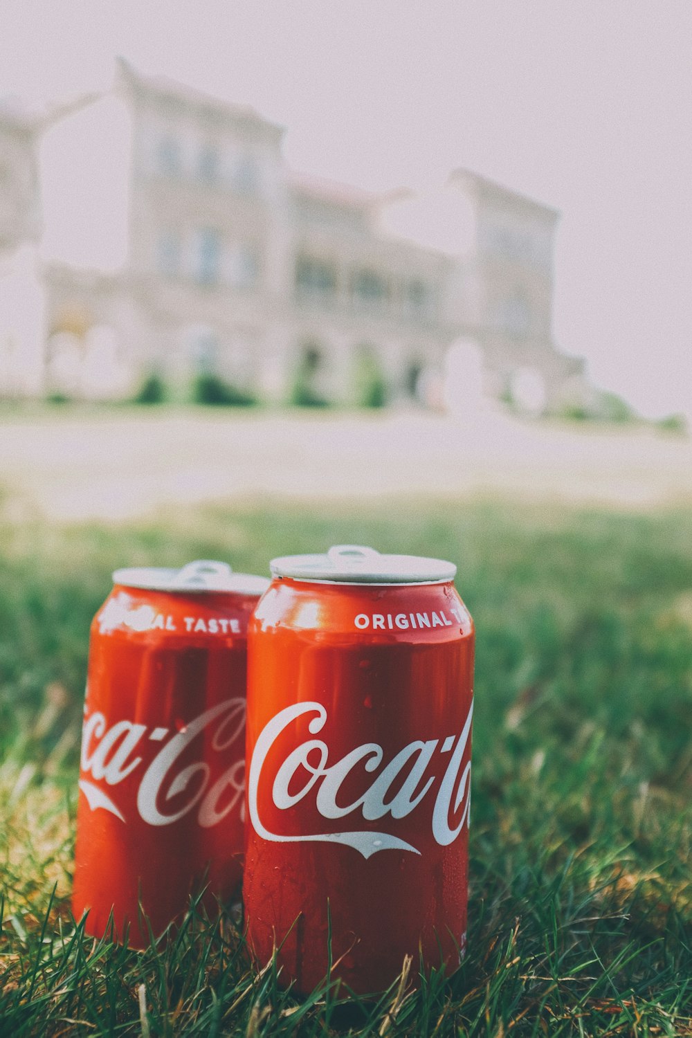 lattina di coca cola sull'erba verde durante il giorno