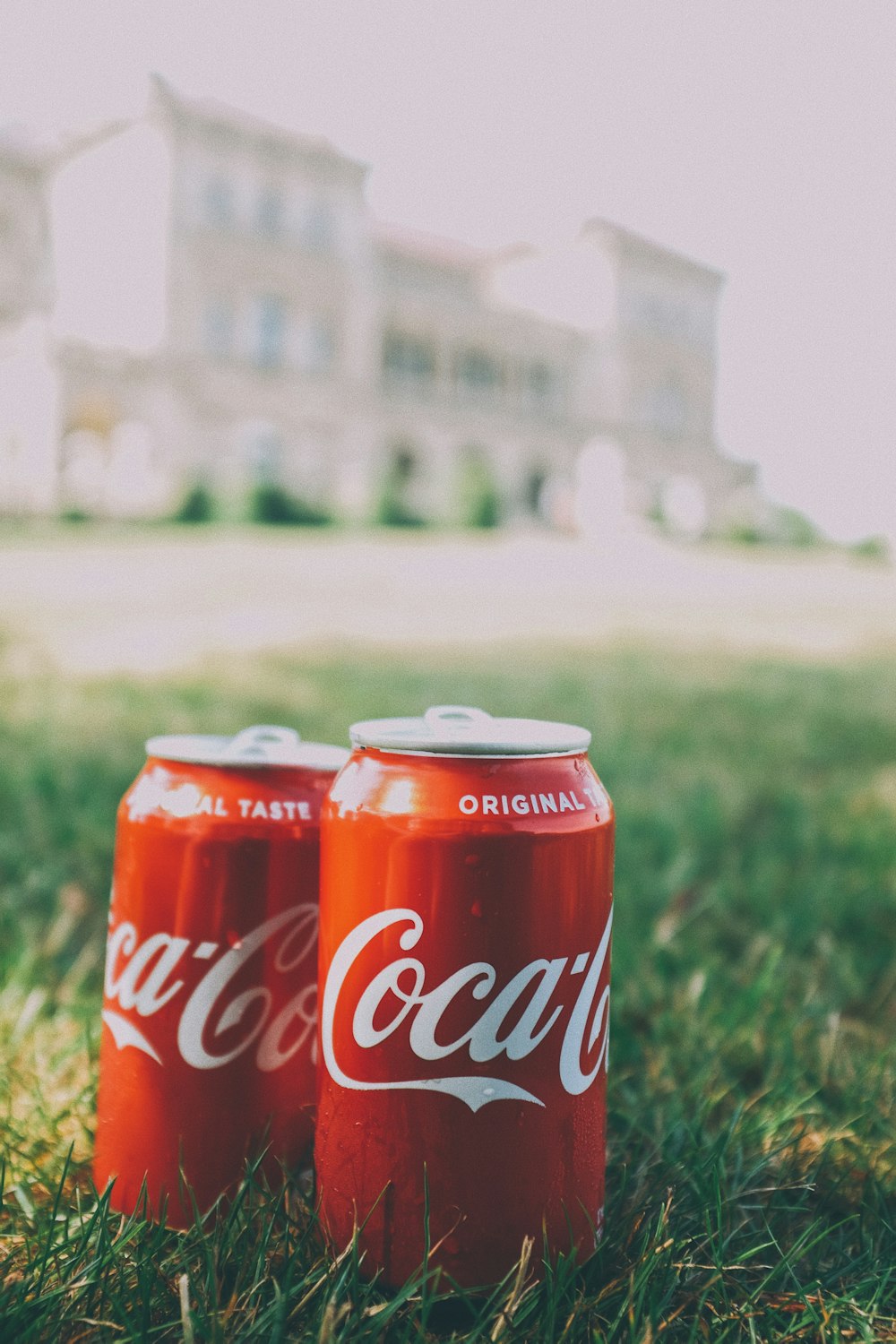 Coca Cola Dose tagsüber auf grünem Gras