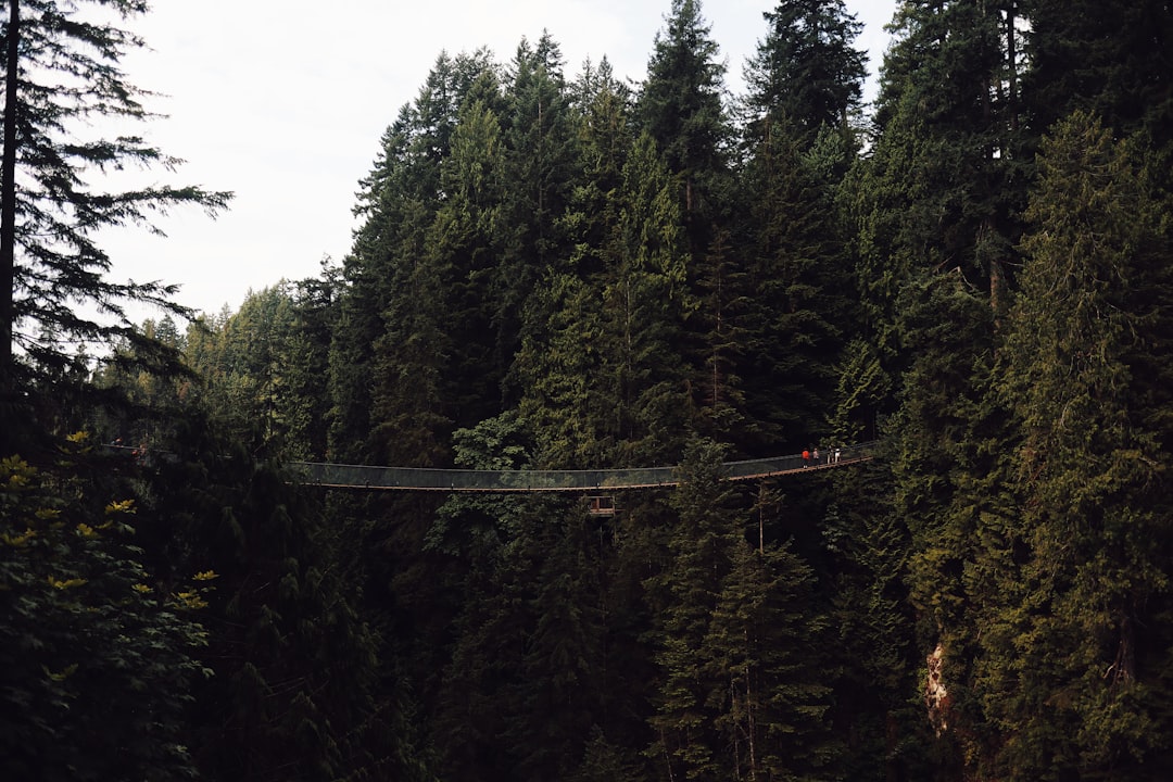 Forest photo spot Capilano River VanDusen Botanical Garden