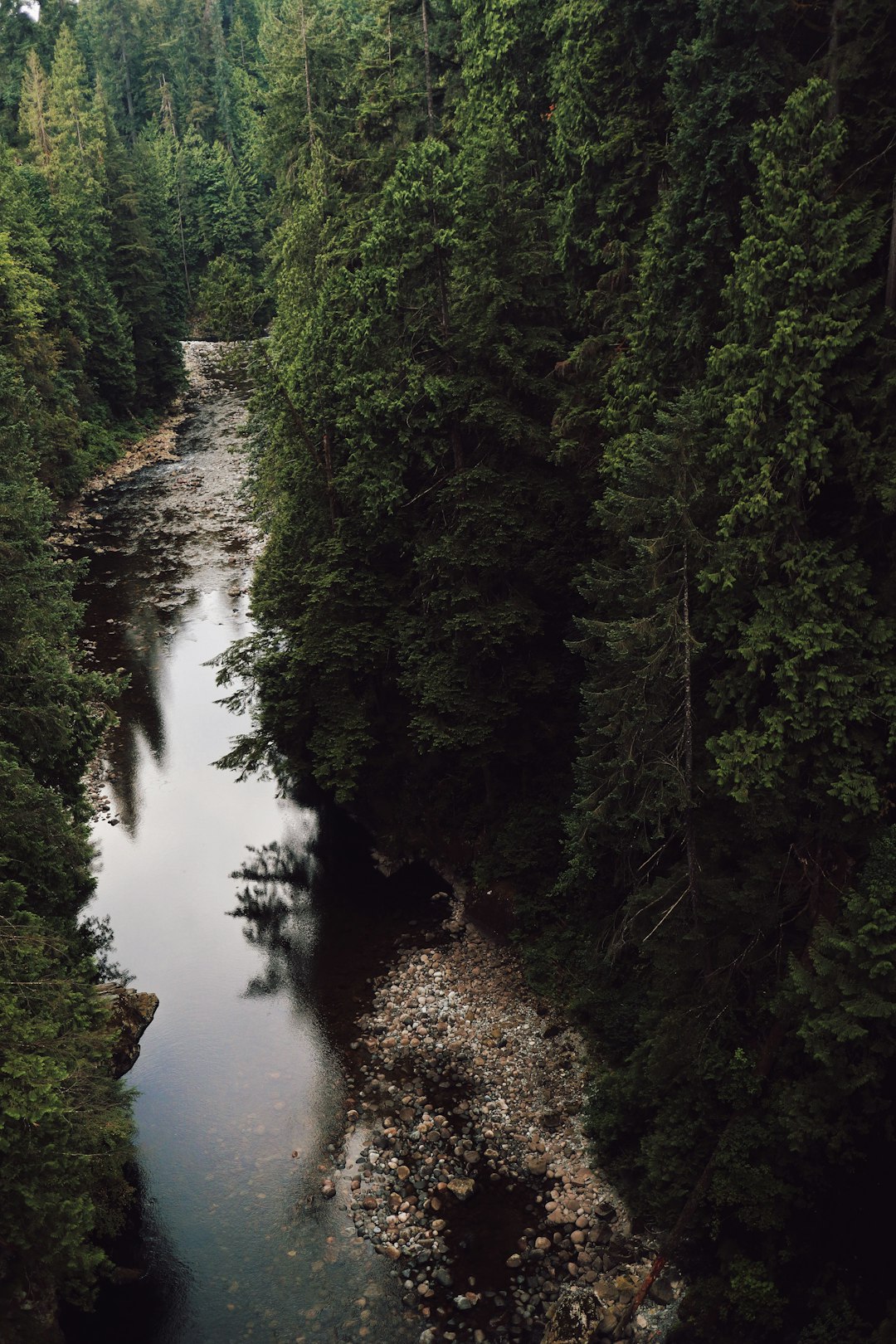 Travel Tips and Stories of Capilano River in Canada