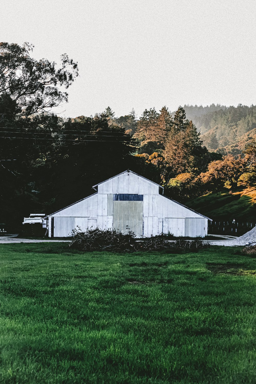 white wooden house near trees