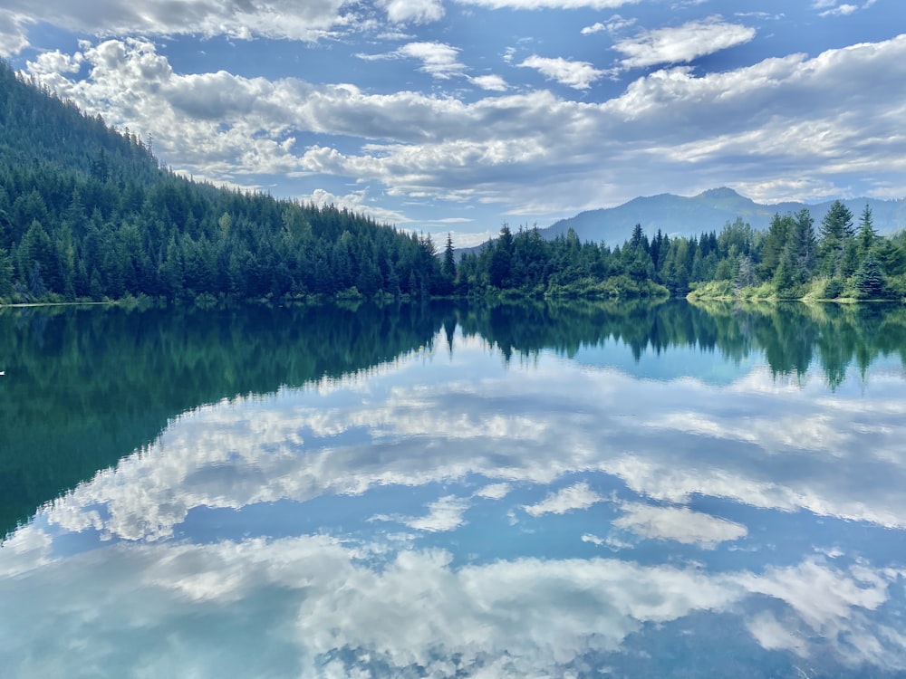 alberi verdi accanto allo specchio d'acqua sotto le nuvole bianche ed il cielo blu durante il giorno