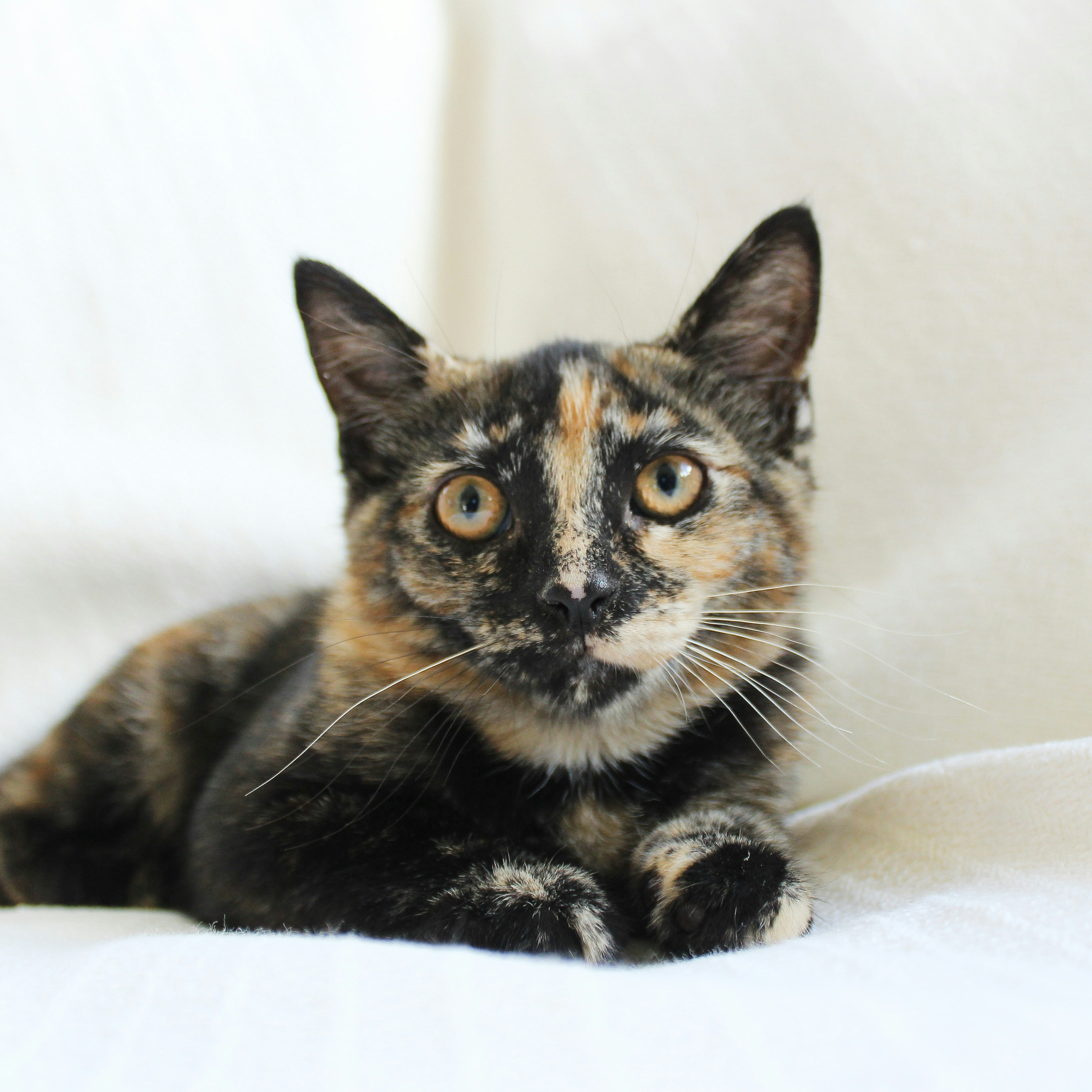 Photo by theluckyneko