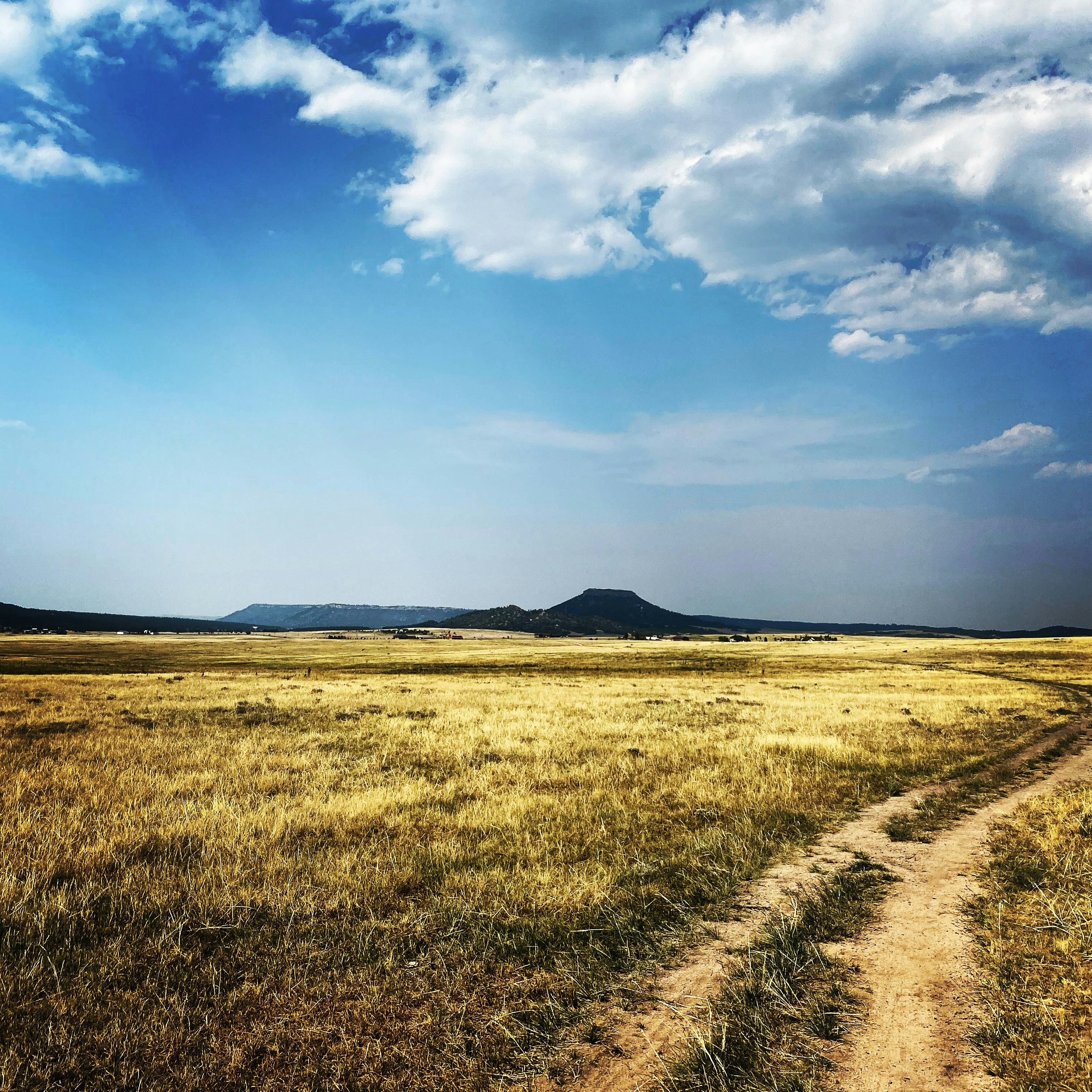 Photo by laitonbarbo