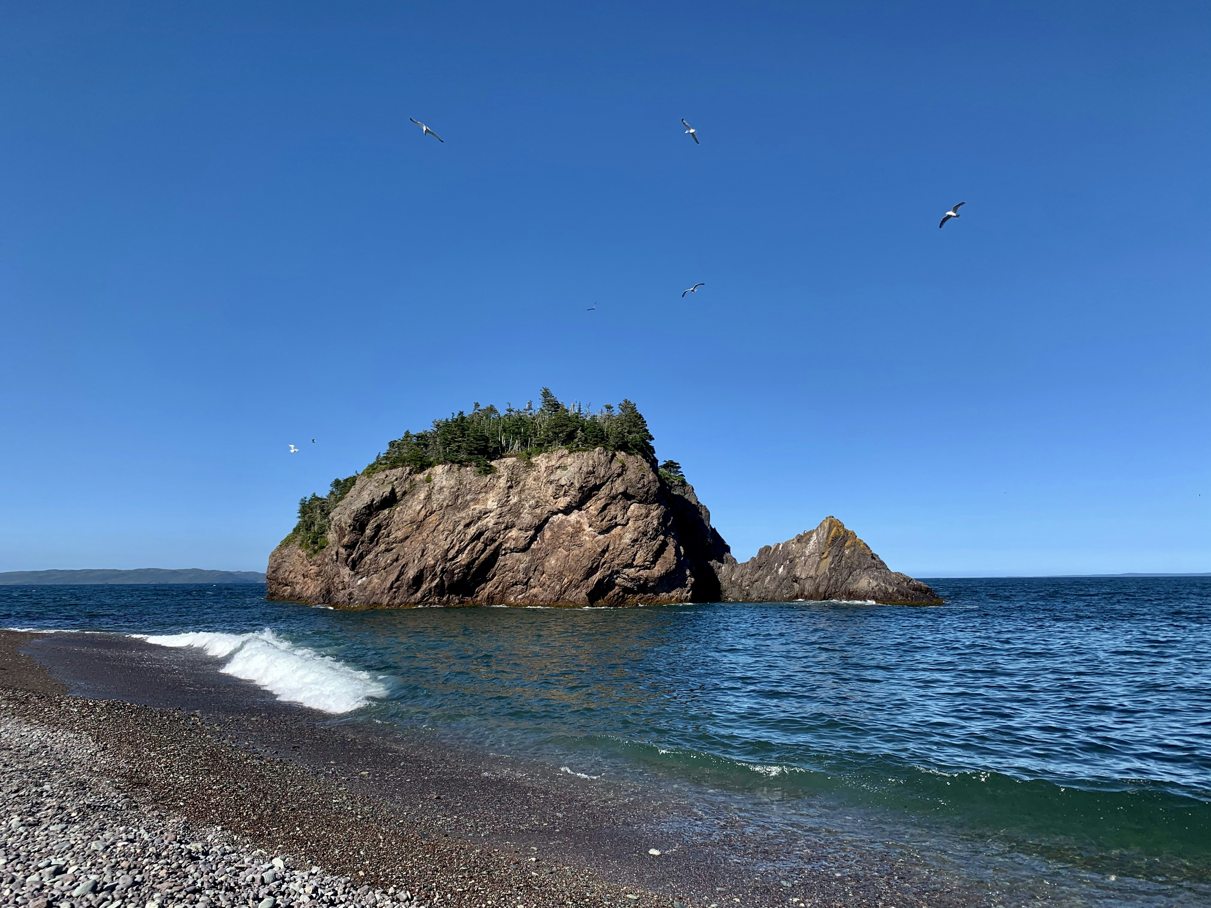 brown rock formation on sea shore during daytime