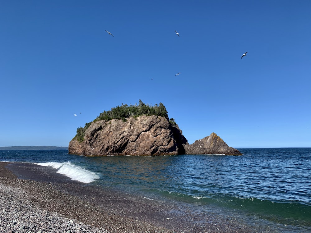 brown rock formation on sea shore during daytime