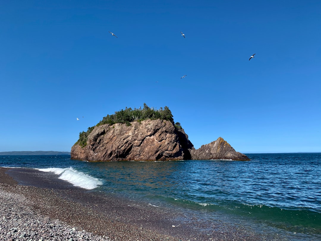 Shore photo spot Chance Cove St. John's