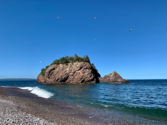 brown rock formation on sea shore during daytime in Chance Cove Canada