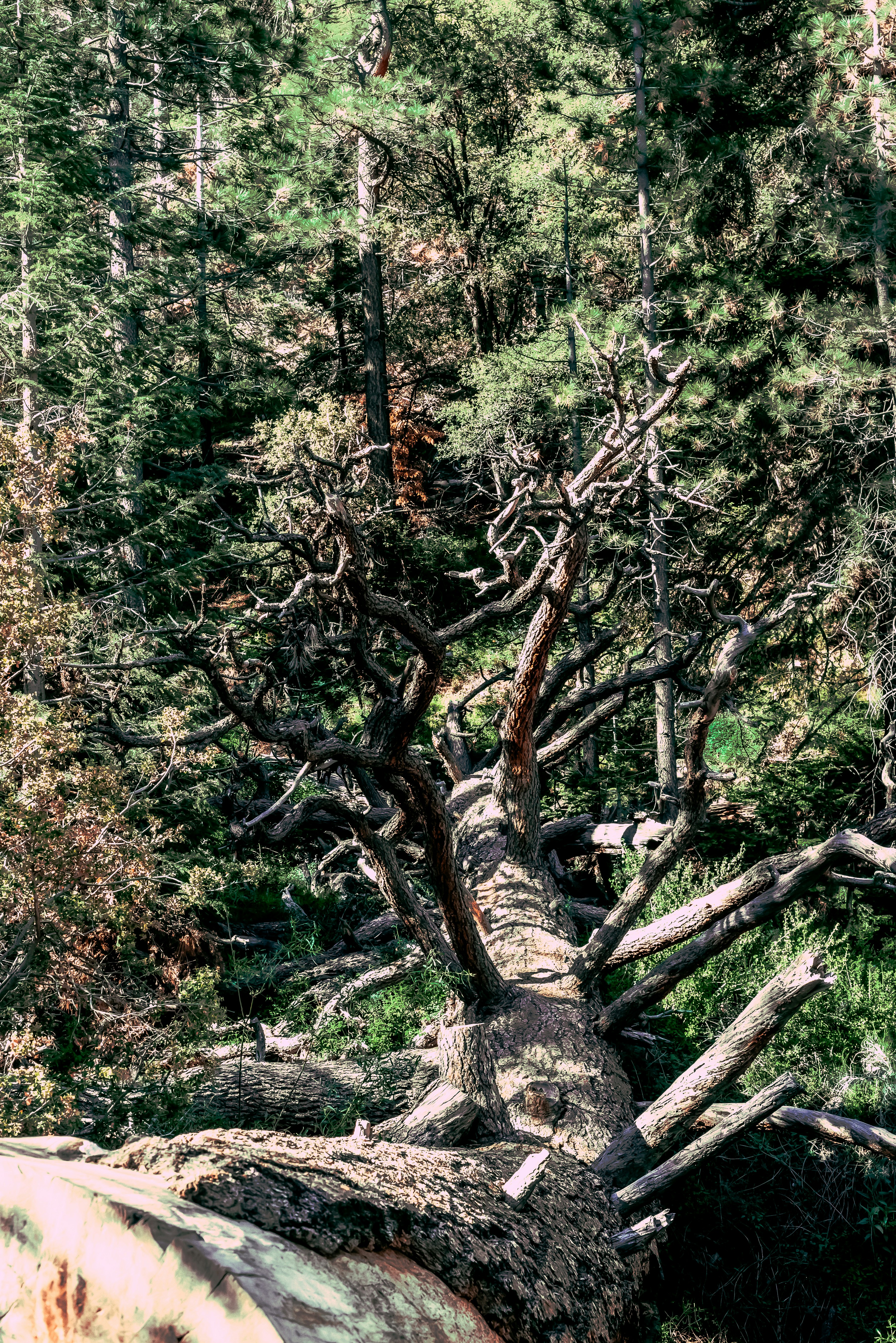 Photo by framesforyourheart